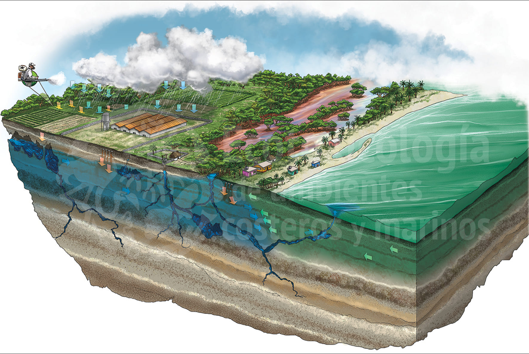 slider-image